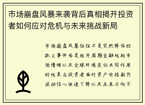 市场崩盘风暴来袭背后真相揭开投资者如何应对危机与未来挑战新局